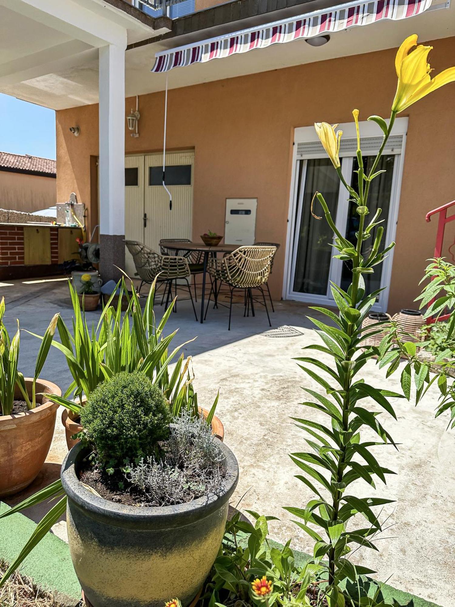 Apartments Dent Umag Luaran gambar