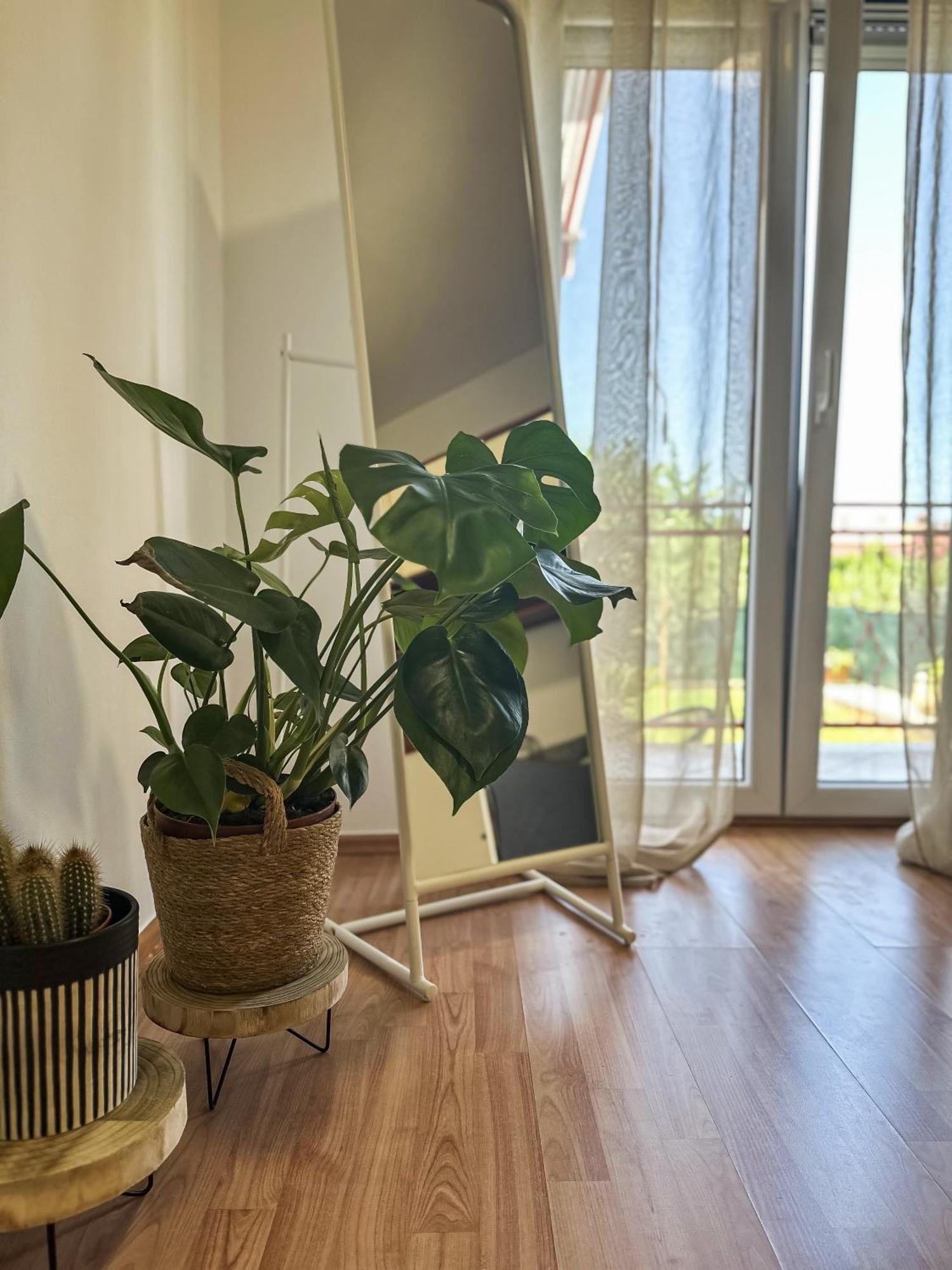 Apartments Dent Umag Luaran gambar